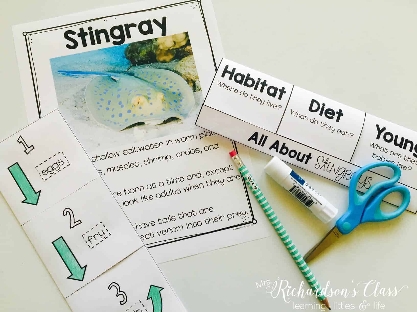 Science writing for little learners is made simple with these animal fact pages and flip books. The flip books fit perfectly in interactive notebooks for students to use as they research independently! 