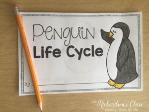 Penguin Life Cycle mini-reader