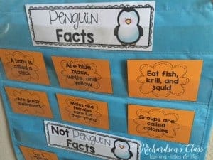 Penguin Facts Pocket Chart Sort