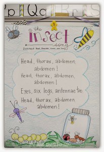 Insect Song Anchor Chart
