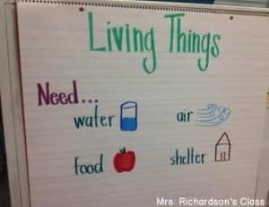 Living Things Anchor Chart