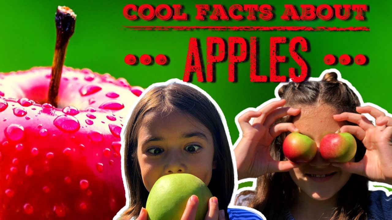 Apple Facts | Facts About Apples For Kids
