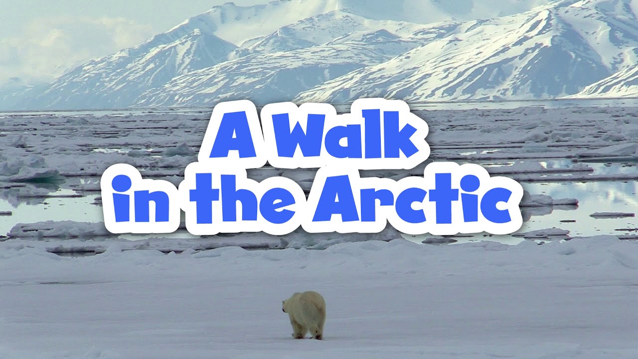 A Walk in the Arctic for Kids | Educational Video for Early Learners
