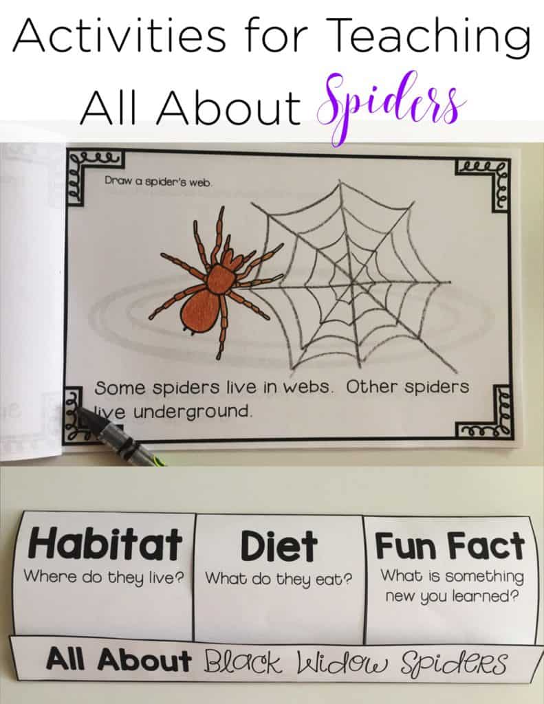 These spider activities are great for comparing spiders to insects, learning about different types of spiders, and integrating it into reading!