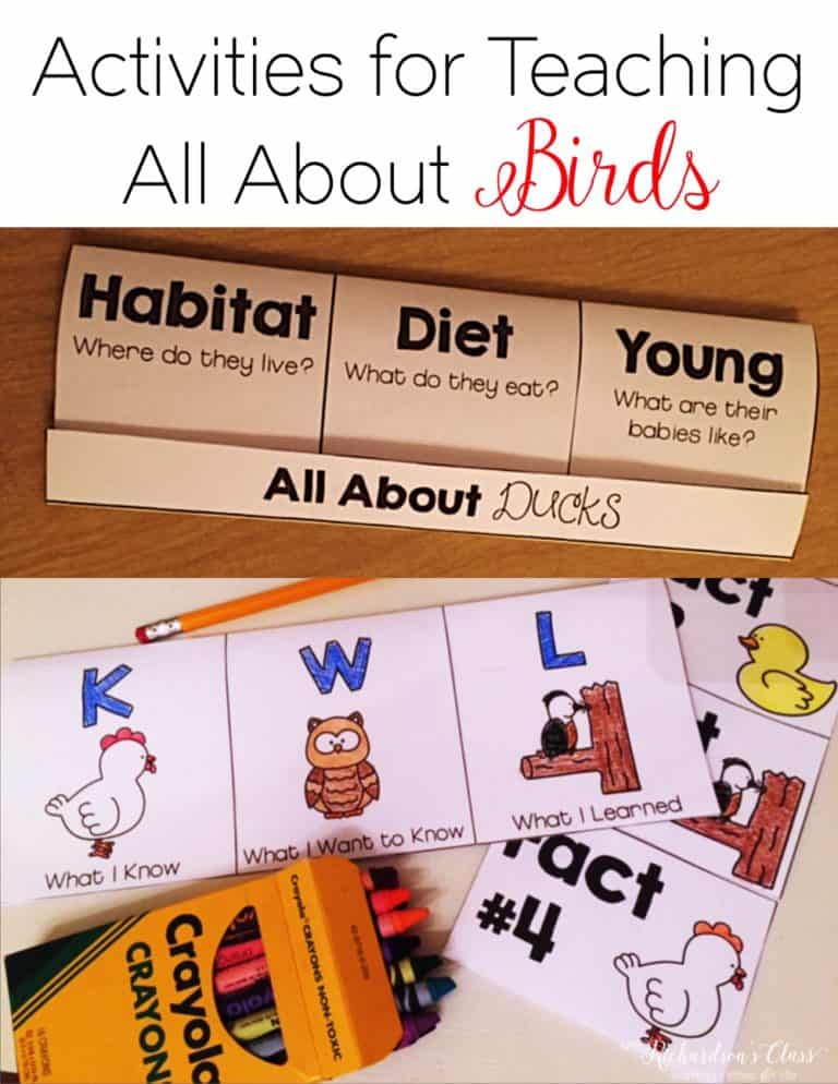 Studying the characteristics of birds is made engaging, fun, and interactive with these bird activities for little learners!