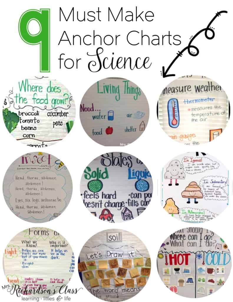 These 9 must make anchor charts for science are easy to recreate! Students in kindergarten, first grade, and second grade will love using them. #4 is always a hit in my classroom! #science #anchorcharts
