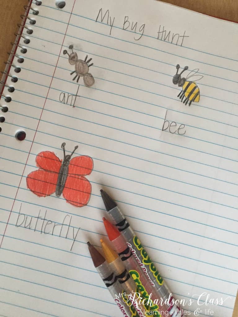 6 Ideas for teaching about insects for kindergarten, first grade, and even second grade!
