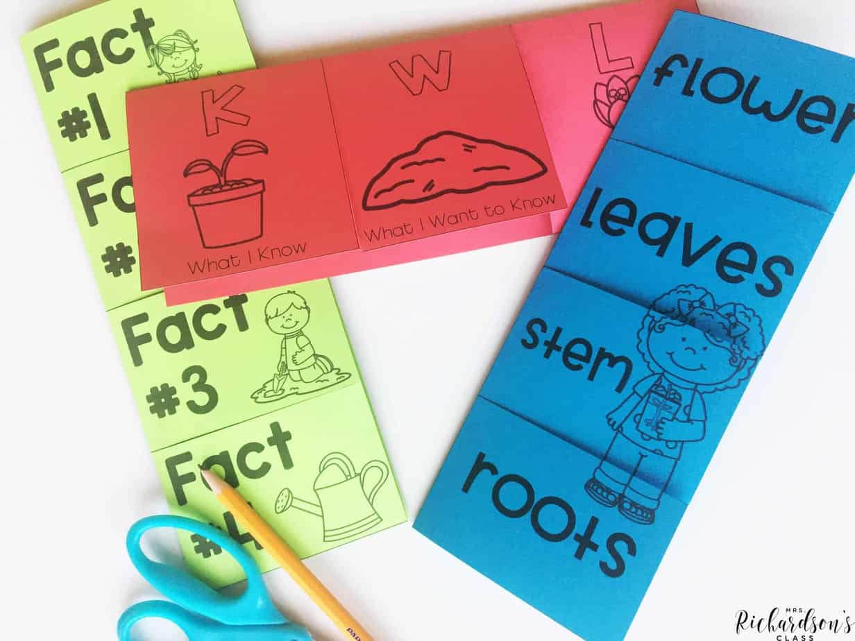 Science interactive notebooks are not complete without these flip up books! Learn all about plants, plant parts, and plant facts with these easy to make flip up books!