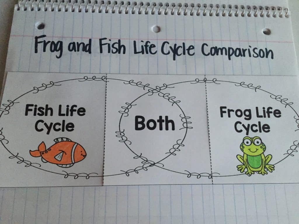 Teaching Science for April - Mrs. Richardson's Class