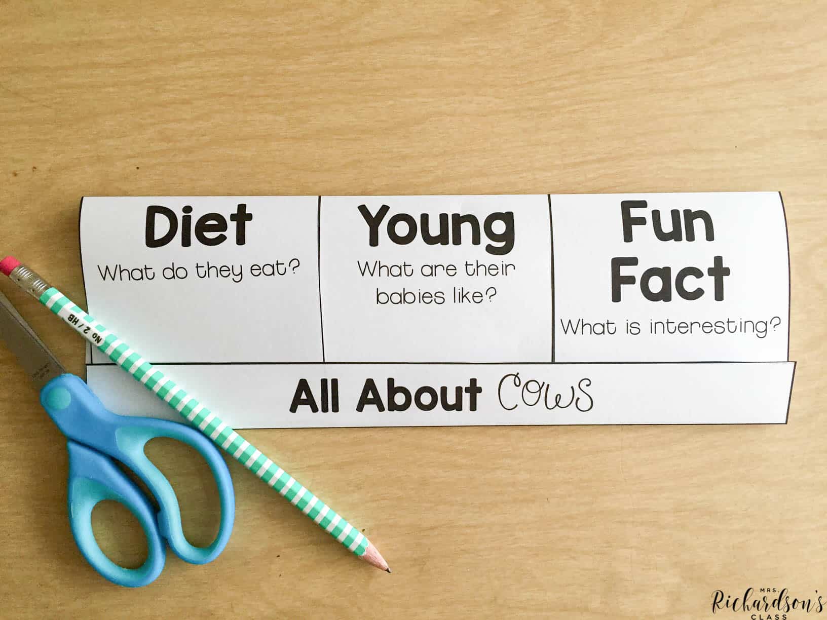 Use these printables from this farm unit to put in your science interactive notebooks! They are perfect for first graders. 