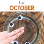 Fall is the perfect time to dig into bats and spiders! October science has these engaging topics and force, motion and energy! Experiments, close reading, interactive notebook pages, and more are all included to make science a breeze for you and a hit with students!