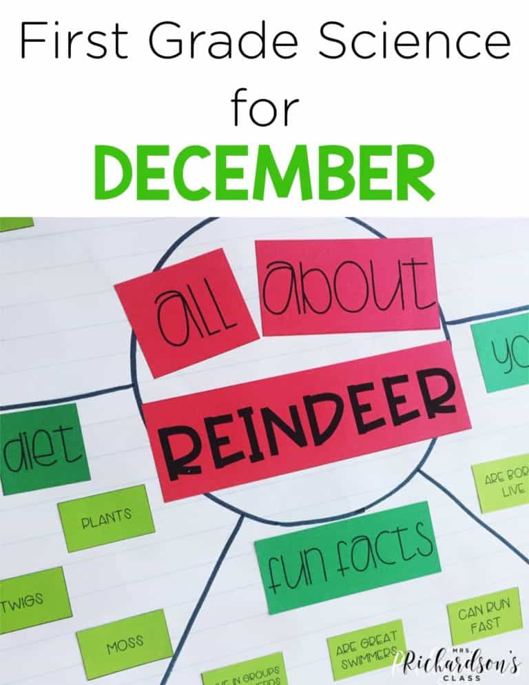 These science activities for December are perfect for your first grade class! From reindeer activities, to snow activities, to birds, and mammals your students will be set! Anchor charts, close reading, interactive notebook pages, and experiments are all included! Read more on the blog post for first grade!