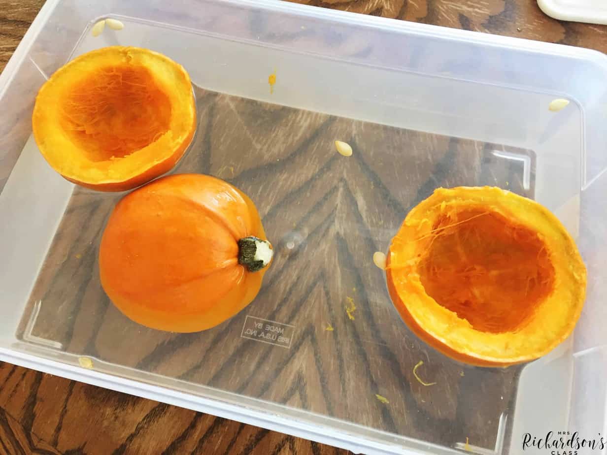 This pumpkin experiment is perfect for exploring sinking and floating with your little learners! Use this science experiment to introduce the concept or to simply dig deeper!
