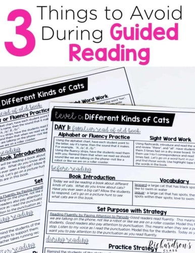 There are three things that you should avoid when doing a guided reading lesson. Do you know what they are? Are you doing these things? Read this blog post about a guided reading lesson to make sure you are doing things that are a best practice!