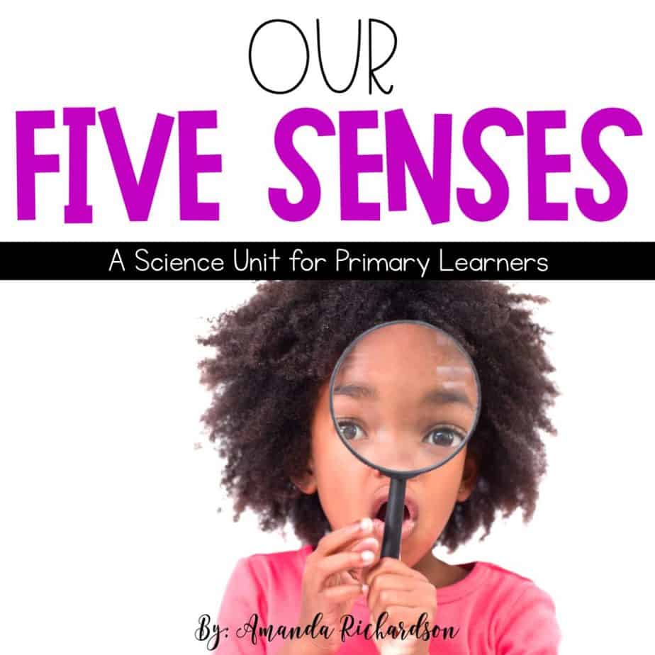 assignment of 5 senses