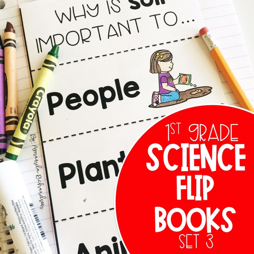 Science Interactive Notebook for First Grade Part 3 - Mrs. Richardson's ...