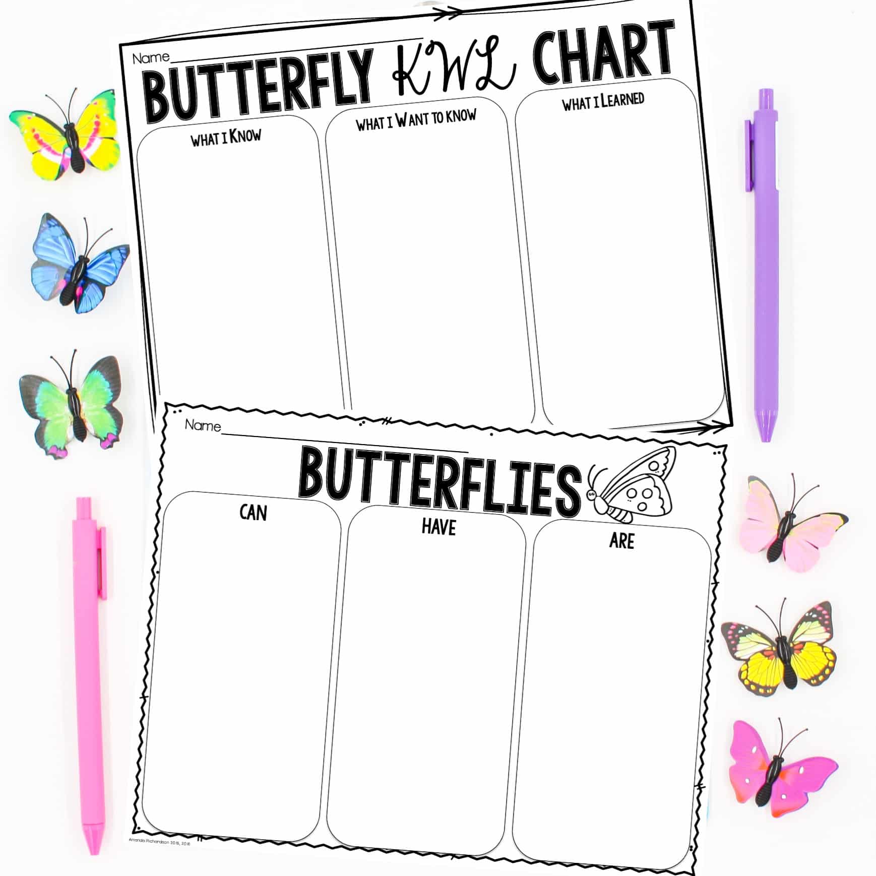Butterfly Life Cycle Flip Book – Mrs Jones's Class