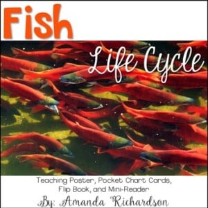 Fish Unit: Fact Pages, Life Cycle, Interactive Notebook Pages, and More ...