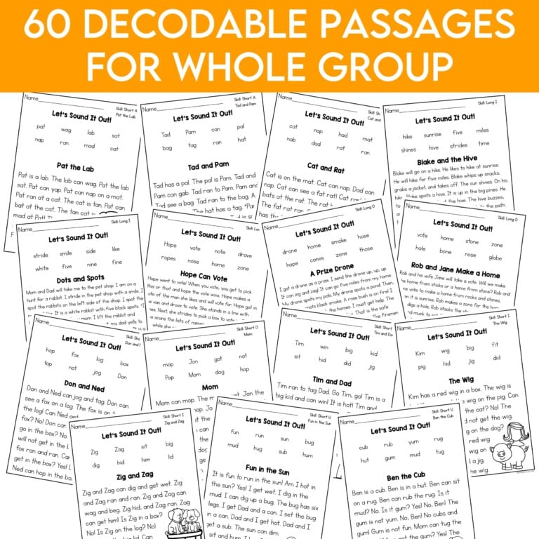 Science of Reading Small Group Lesson Plans, Decodable Readers ...